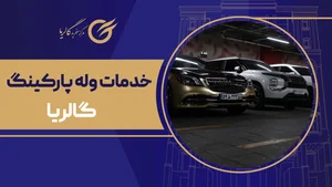 ورودی پارکینگ پارک دولت
