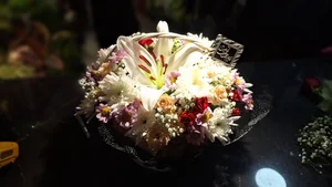 گلفروشی متانویا 2