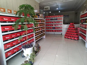 امیرباطری
