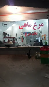 مرغ حمید