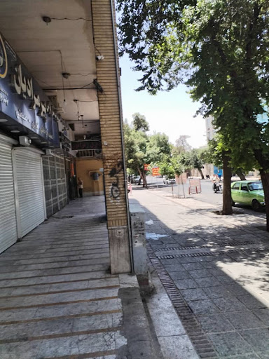 فلزیاب ای دی اس شیراز