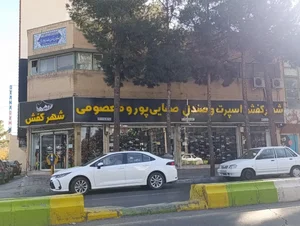 کفش اسپورت صفایی پور 2