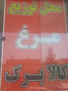 مرغ کشتار روز فیض 3