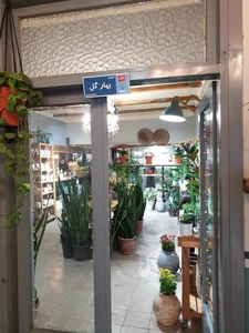 گلخانه بهار گل 5