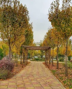 بوستان بهاران 2