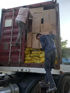 باربری کوروش 3