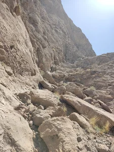 شاه کوه