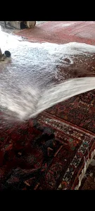 قالیشویی مبلشویی رفوگری پرویزی 5