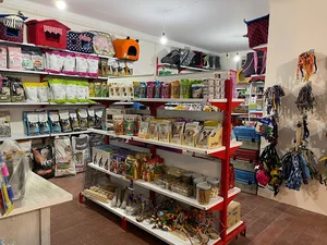 کلینیک دامپزشکی نبض