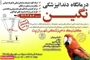 درمانگاه دندانپزشکی نگین شرق 2