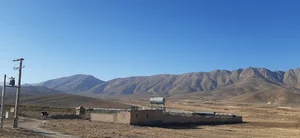 مرغداری بامداد