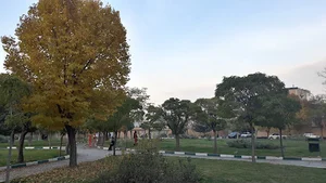 پارک شهرک مدرس