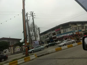 سازمان انتقال خون