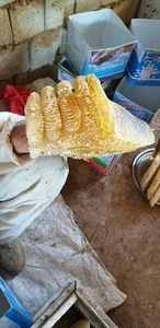 عسل طبیعی محمد پوری سردشت
