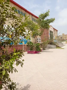 هنرستان دخترانه