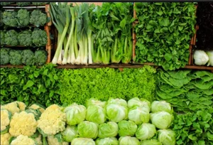 باغ سبزی حاج عبداله 5