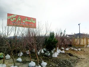 نهالستان پارس نهال