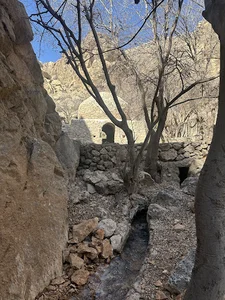 گنبد بندره