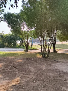 پارک و فضای سبز