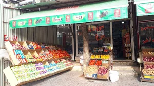 فروشگاه دیانا
