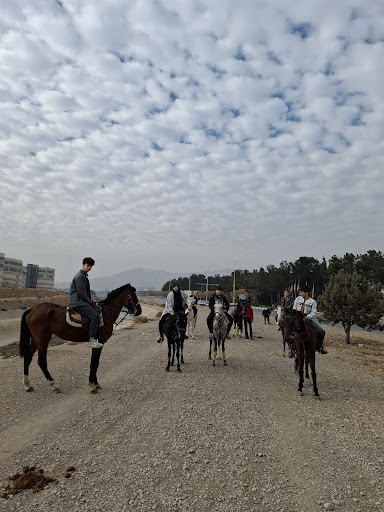 مجموعه سوارکاری تکسوار