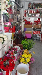 گلفروشی مزرعه گل