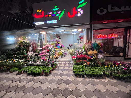 گل رشت