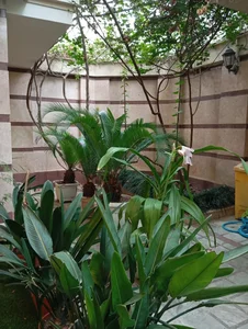 مرکز مشاوره پایا 3