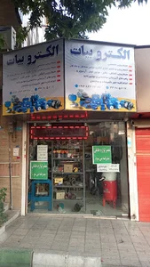سیم پیچی بیات