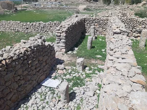 چمن گنجشگیر(دورتموند)