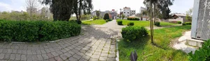پارک گیاه شناسی