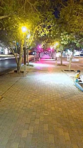 پارک نخل زرین 2