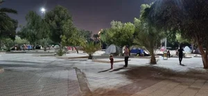 بوستان جنگلی خلیج فارس 3