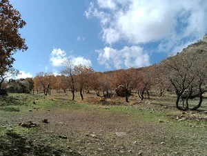 iran.ilam