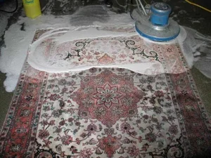 قالی شویی سید