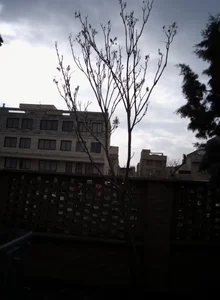 مرکز خدمات پزشکی پارسا 2