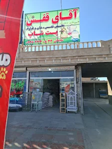 آقای قفس