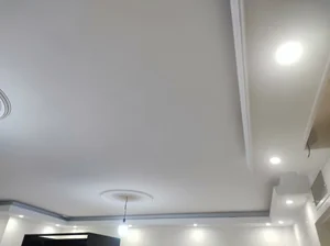 عابدین پاشازاده