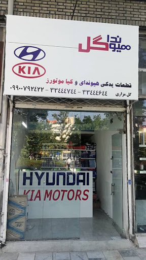 لوازم یدکی هیوندا گل