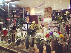 گل فیگارو Figaro Flowers