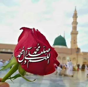 موسسه خیریه انصارالحجه (عج)