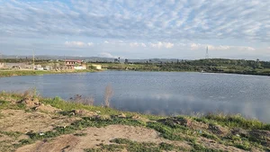 آب بندان کوتنا