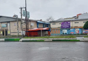 باشگاه تختی