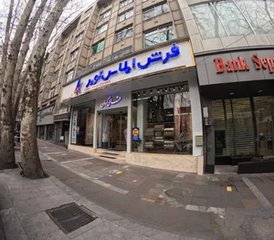 فرش الماس کویر کرمان 3