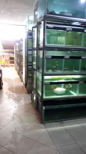 مرکز تکثیر و پرورش ماهیان زینتی کاسپین
