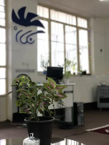 موسسه فرهنگی هنری نگاره