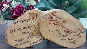 دکتر نسرین سادات میرطلایی