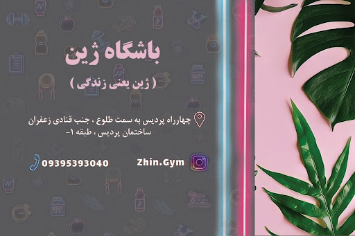 باشگاه ژین