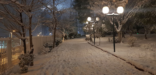 بوستان آ.اس.پ