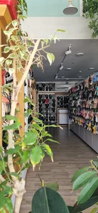صندل یکتا